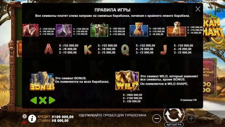 Таблица выплат