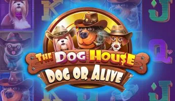 Игровой автомат Dead or Alive 2 от NetEnt