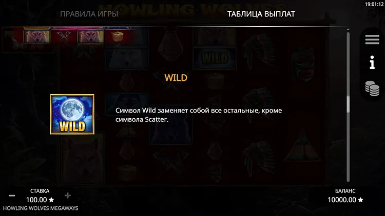 Вайлд
