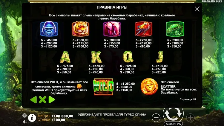 Таблица выплат