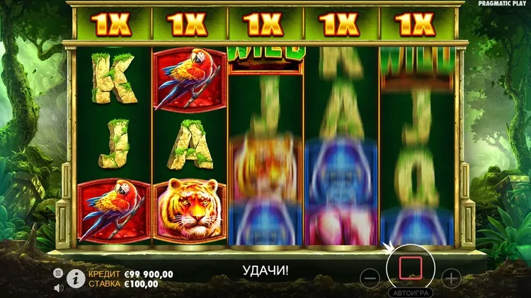 Игровой процесс