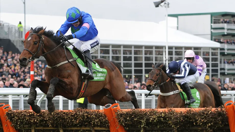 Двукратный победитель Champion Hurdle Hurricane Fly умер в 22 года