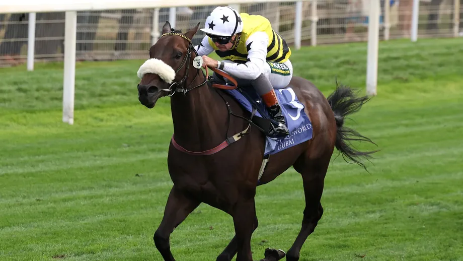 Арапахо Голд идёт за пятой победой в Mill Reef Stakes в Ньюбери